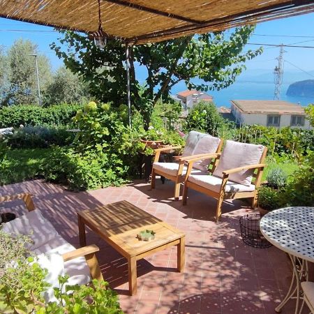 Lally'S Garden Sorrento Exterior foto