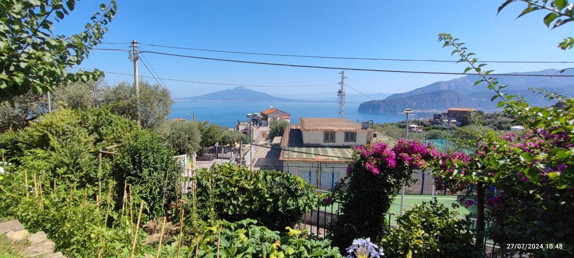 Lally'S Garden Sorrento Exterior foto